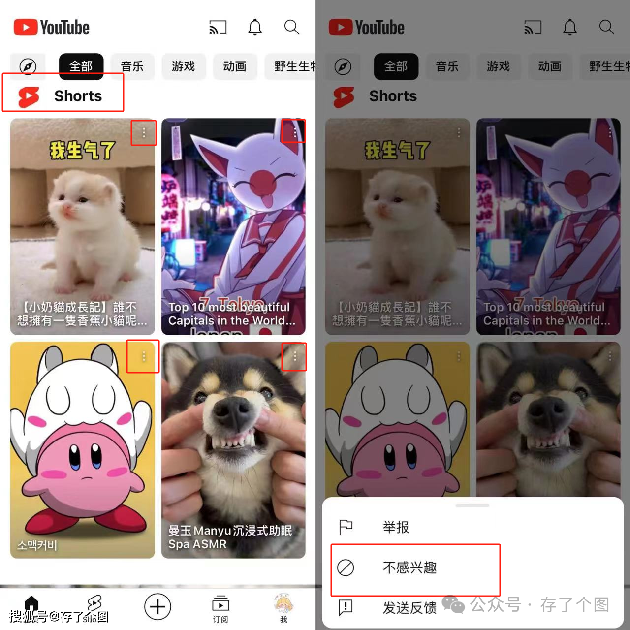 youtube安卓版youtube安卓apk