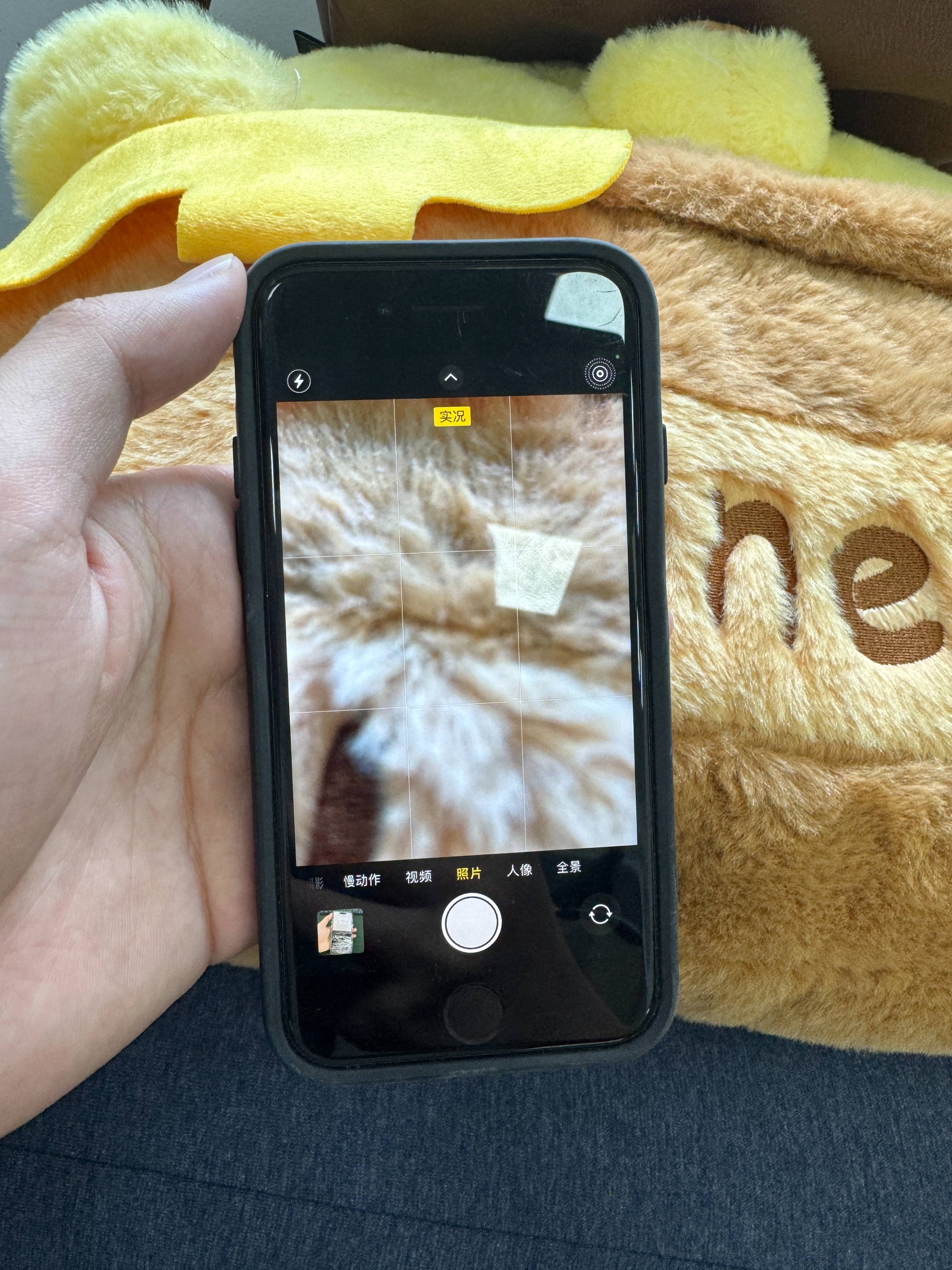 glive直播安卓版live直播电视版apk-第2张图片-太平洋在线下载