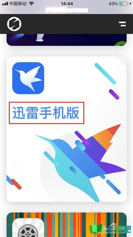 手机迅雷所有版手机迅雷官方下载